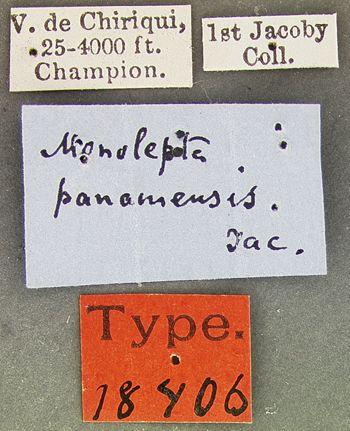 Media type: image; Entomology 18406   Aspect: labels